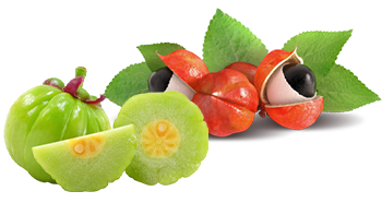 Guarana og Garcinia Cambogia