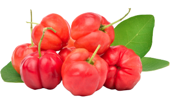 Acerola