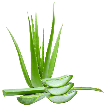 Aloe Vera bladjuice